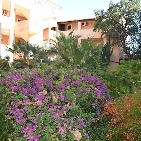 Il Mare Di Apartment *